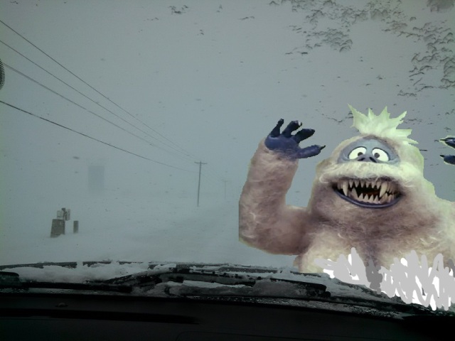 Bumbles bounce!  Off your bumper.