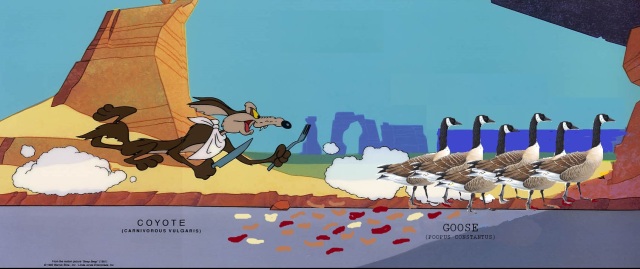 wile-e-coyote-geese