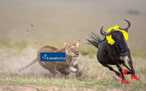 It ain't easy to run in heels.